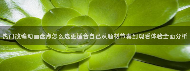 虫虫漫画章节列表