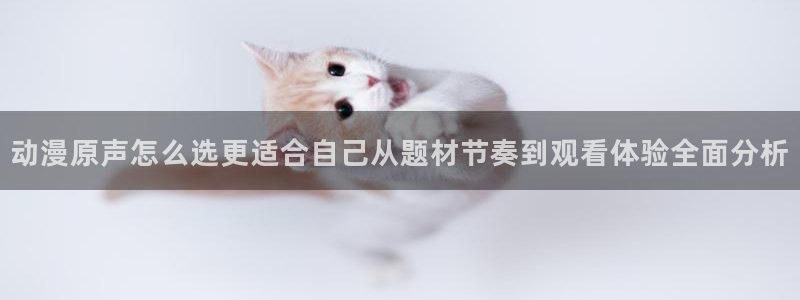 虫虫漫画人气榜